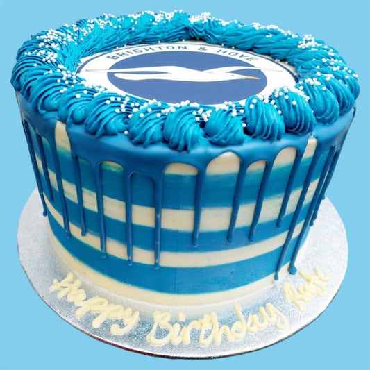Brighton and Hove Albion seagulls football cake